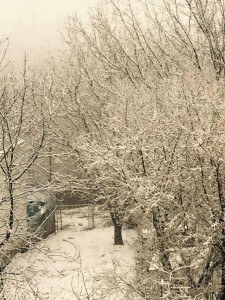 10360605_10152832007779779_8057094562294134972_n