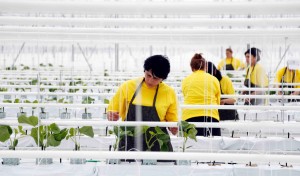 10448433_820988347990826_3832226054312893710_o