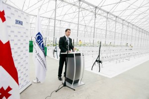 10448456_820988374657490_7753249796834921433_o