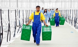 10450237_820988317990829_7079776266308629052_o