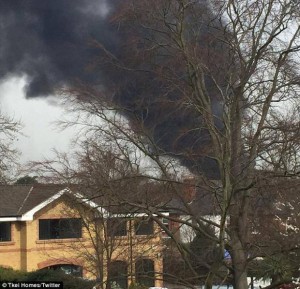 10485203_10203568832573034_27870975_n