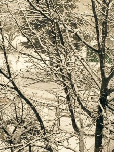 10625071_10152832007789779_7249258428333807031_n