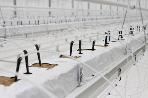 10676148_820989284657399_3002032857133720645_n