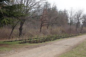 10980706_1056582574358342_8051502335365744984_n