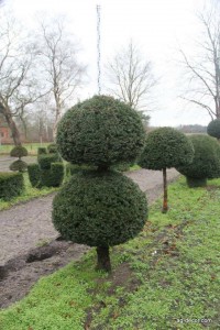 11008833_937670906277754_2084115326_n