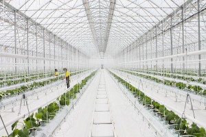 11020486_820988991324095_1258299426887682095_n