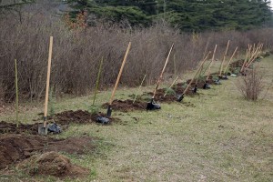 11026036_1056582561025010_2104958392835759461_n