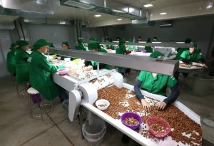 11041676_829587133799031_263253250300062328_n (1)