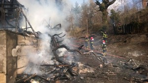 11042245_349878315218358_1630179640_n