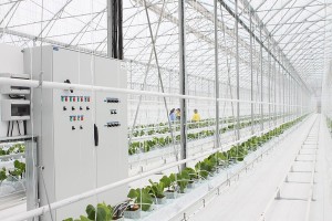 11045452_820988891324105_8069047817709070376_n