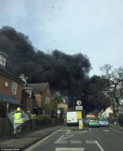 11051020_10203568832653036_729250196_n