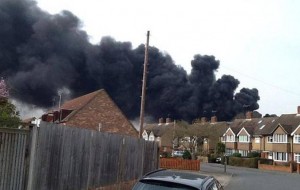 11051077_10203568832613035_911200913_n