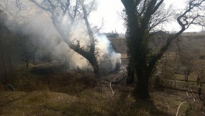 11051521_349878358551687_1870524086_n