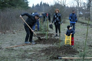 11053662_1056582944358305_200864788034509128_n