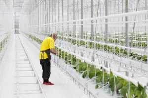 11054276_820988887990772_3806714959998325511_n