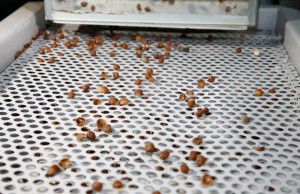 11062416_829587130465698_5764072960287112609_n