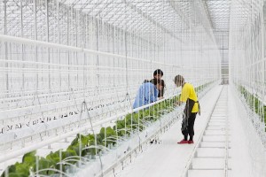 11071946_820988941324100_192395252282669635_n