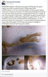 11072849_355698117969711_269843860_n