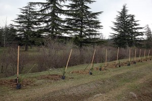 11075242_1056582497691683_7032016806261760646_n