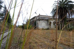 11079759_10203634776021579_2064950069_n