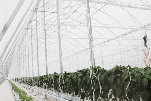 11081255_820989371324057_1769487572033624096_n