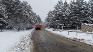 11084608_10152832046564779_1116447451_n