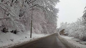 11092575_10152832046554779_1220809973_n