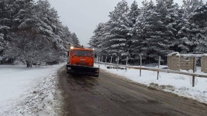 11092747_10152832046559779_1781663227_n