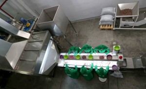 11096699_829587167132361_8359146887252095672_n