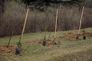 13197_1056582521025014_680140679555458683_n