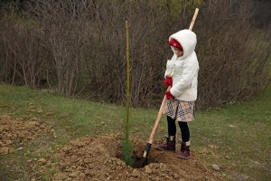 1513731_1056582494358350_5850034627775990712_n