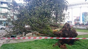 10422073_738708199582488_3480913475019892583_n