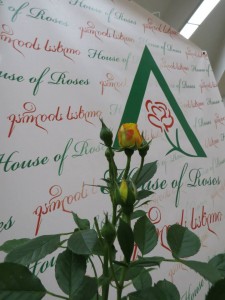 10646854_828170463920594_8152022908020540438_n