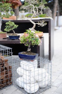 10836504_366511503544241_674927980_n