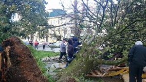 11026090_738708752915766_197604254044830168_n