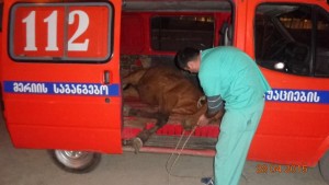 11071301_833486596732812_7203489840252744866_n