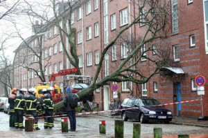 11092715_10203672169396390_1272562911_n