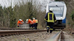 11093285_10203672168676372_81593634_n