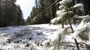 11094185_10203712012632446_1424214019_n