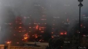 11096828_1108679459157606_1675716235_o (1)