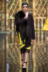 11100005_10203754577616544_1461008747_n