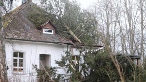 11100190_10203672168996380_40369242_n