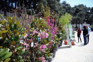 11100768_366511533544238_1345396453_n