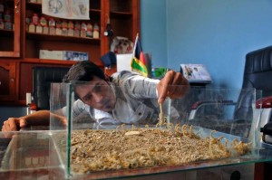 11100918_10203777525630230_1721350863_n