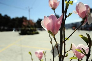 11104071_366511520210906_903125975_n