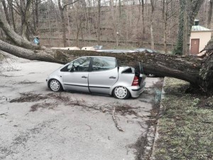 11104113_10203672169156384_2136200710_n