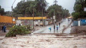 11106227_10203692431582932_1151767666_n