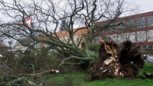 11106518_10203672168836376_354197673_n