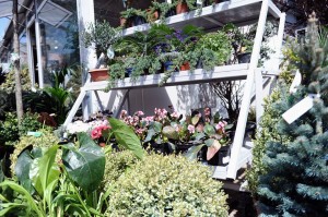 11117577_366511513544240_1729042945_n