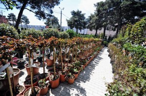 11117898_366511530210905_1100265227_n